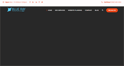 Desktop Screenshot of blueraymarketing.com