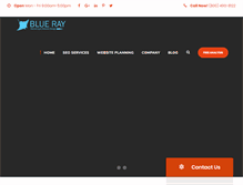 Tablet Screenshot of blueraymarketing.com